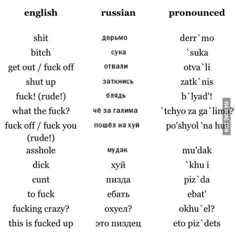 Russian insult translation